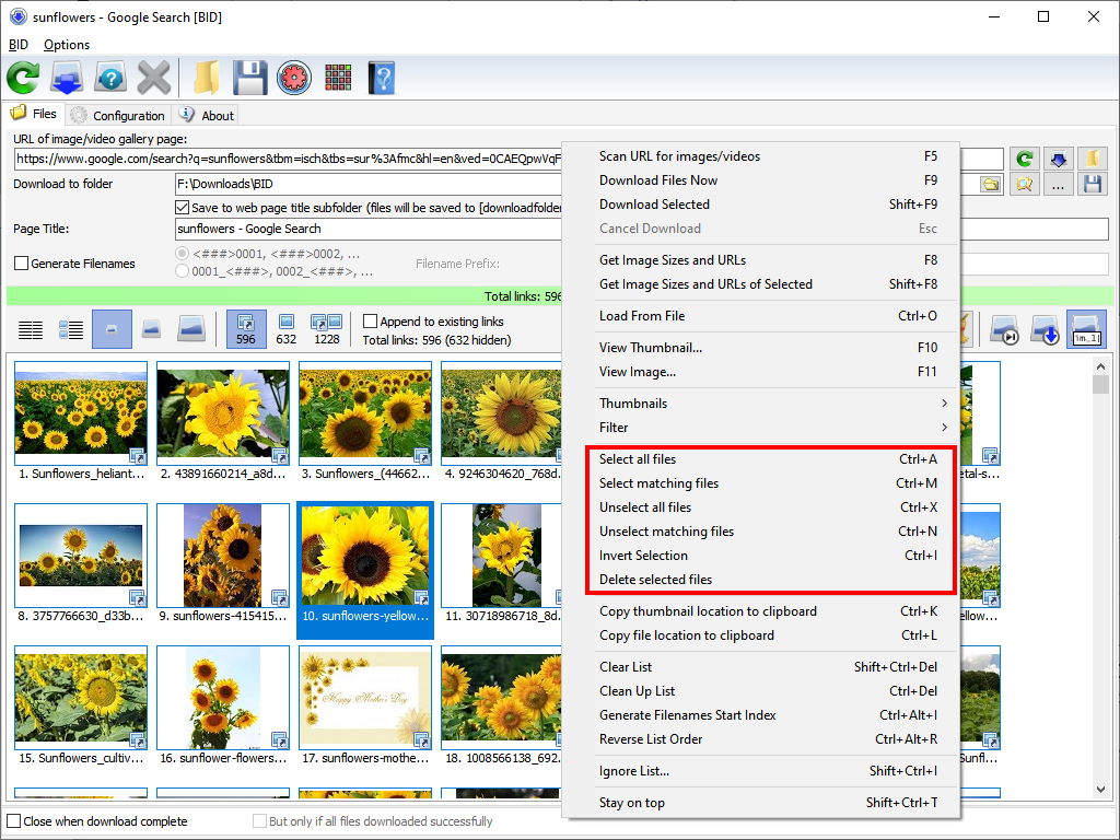 Bids Gallery BID User's Guide - 4. Downloading a web gallery with BID