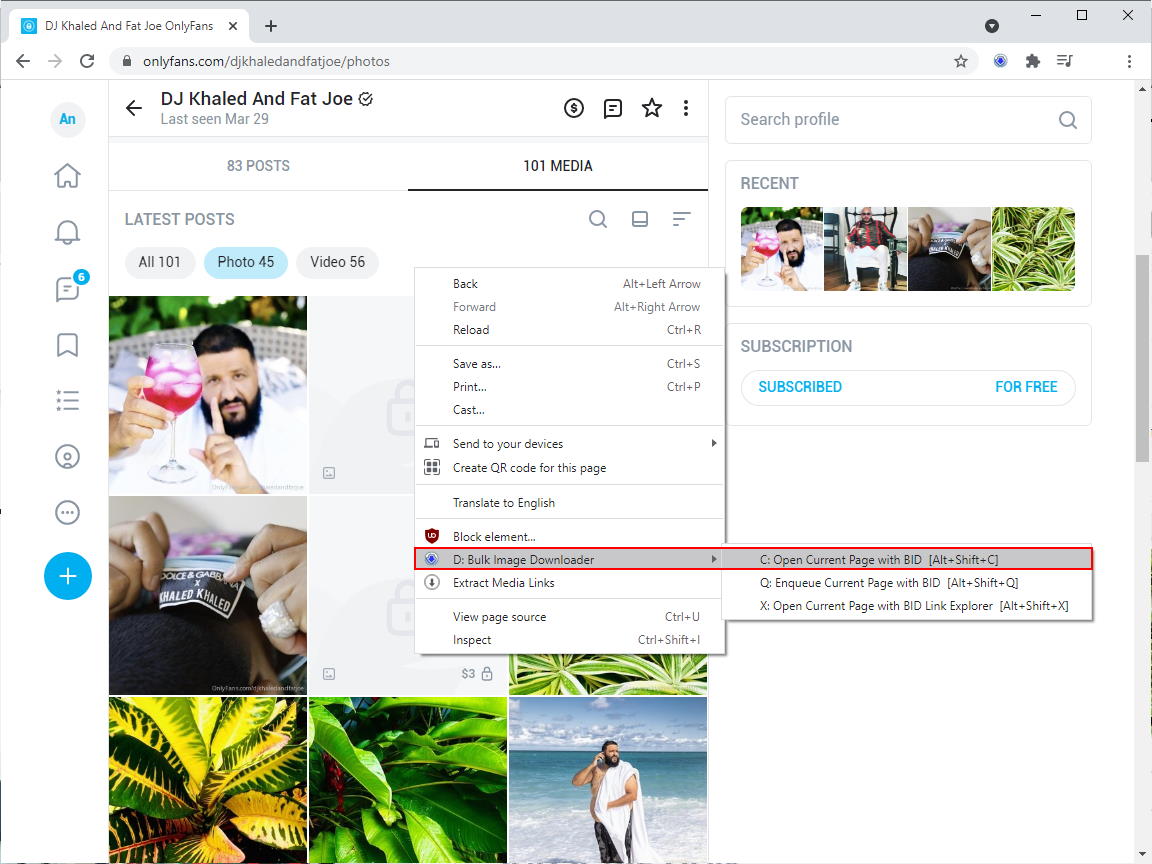 How to download full sized images and videos from onlyfans using Bulk Image  Downloader